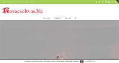 Desktop Screenshot of kovacsoltvas.biz